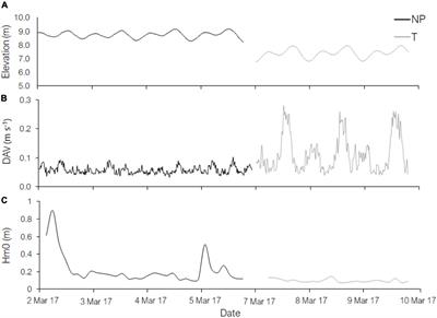 Safe in My Garden: Reduction of Mainstream Flow and Turbulence by Macroalgal Assemblages and Implications for Refugia of Calcifying Organisms From Ocean Acidification